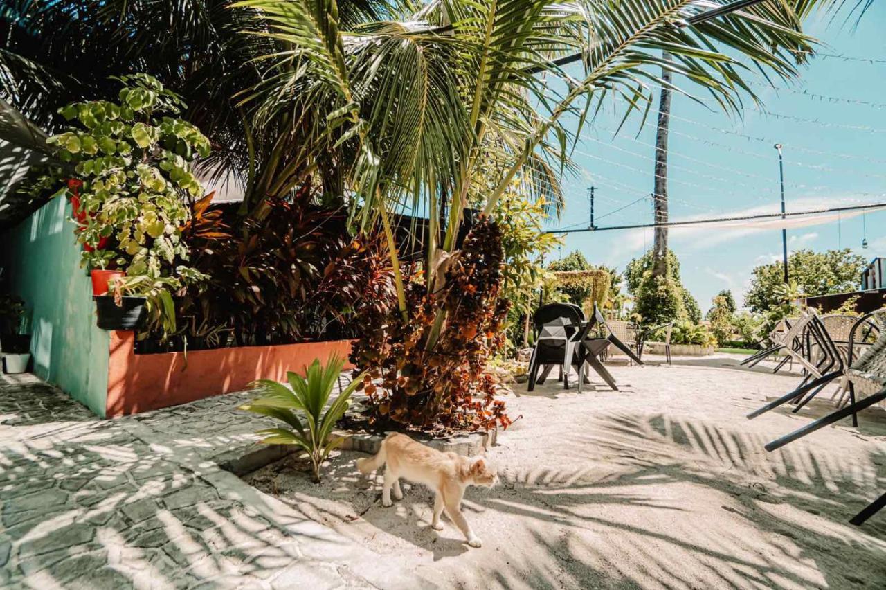 Hotel Oceana Boutique Maafushi Exterior foto